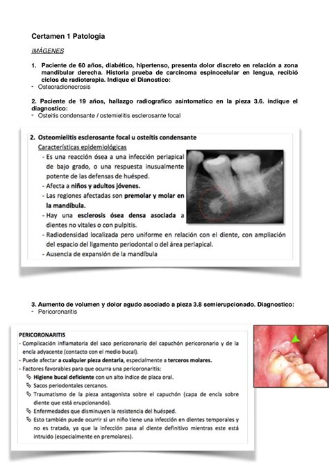 Examen De Muestra Pr Ctica Preguntas Y Respuestas Certamen