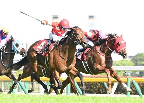 【京王杯sc】1番人気ウインマーベルが重賞4勝目 松山「マーベルが最後まで頑張ってくれた」 競馬ニュース Netkeiba