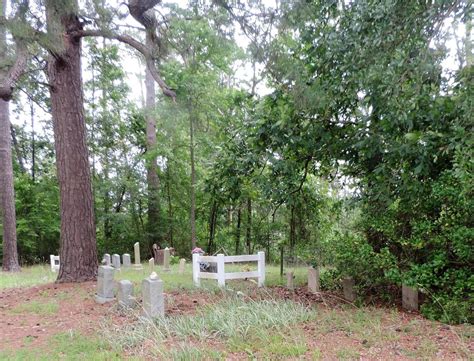 Linton Cemetery In Sidney Crossroads North Carolina Find A Grave