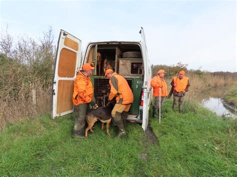 Reportage Une Battue Aux Sangliers Avec Les Chasseurs