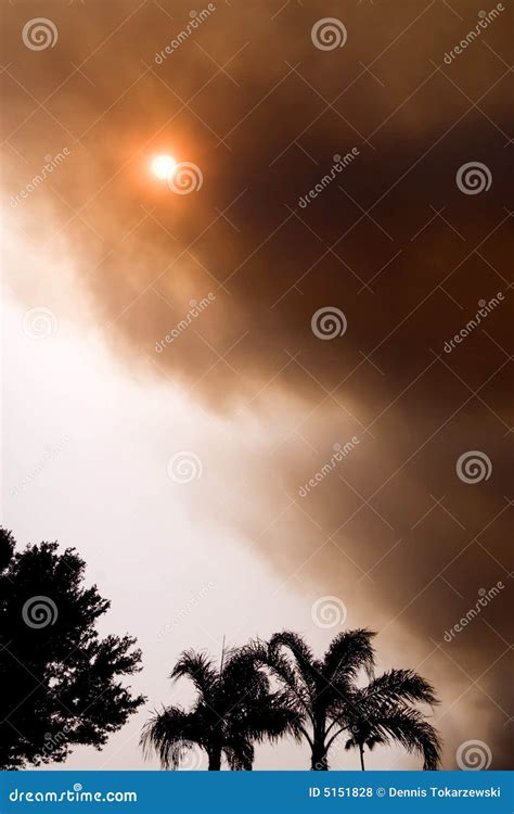 Florida on Fire editorial stock photo. Image of danger - 5151828