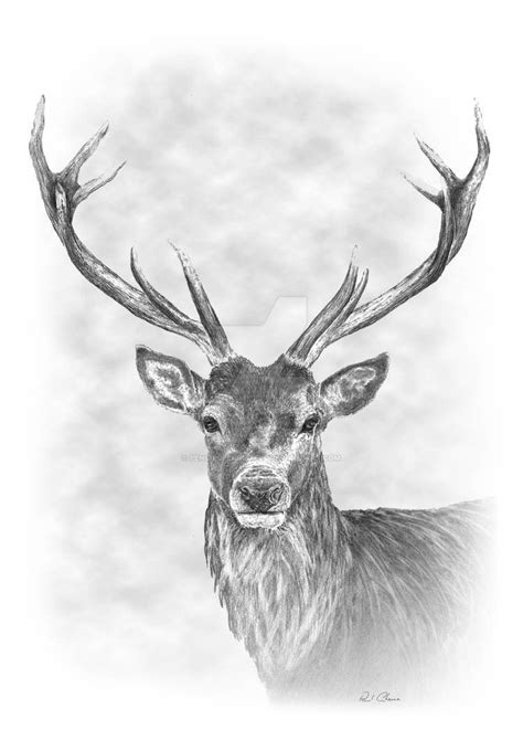 Stag Pencil Drawing by PencilsPensPixels on DeviantArt Pencil Drawings ...