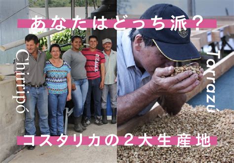 【特集】あなたはどっち派？ コスタリカの2大生産地「チリポ」と「タラス」 新商品 お知らせ 堀口珈琲 Horiguchi Coffee
