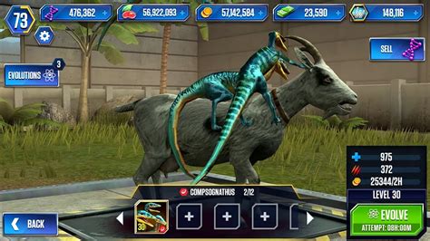 Compsognathus Max Level Jurassic World The Game Ios Android