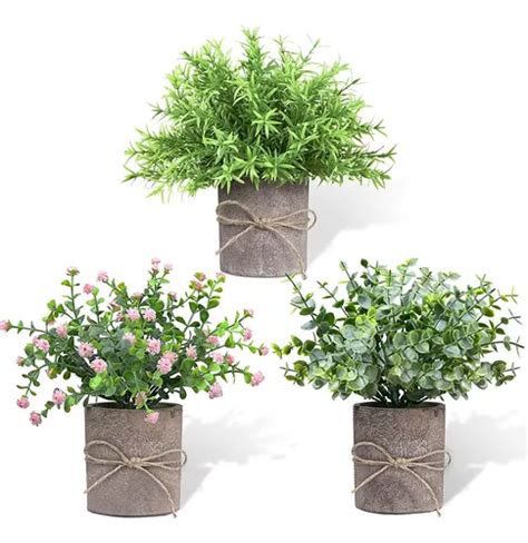 Plantas Artificiales En Maceta Pequeñas Plantas Decorativas Meses