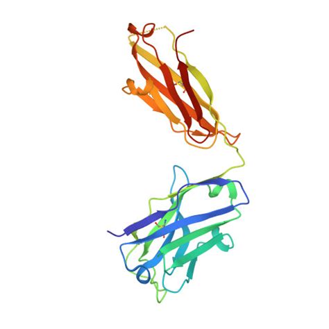 Rcsb Pdb Jx Mapping Neutralizing And Immunodominant Sites On The