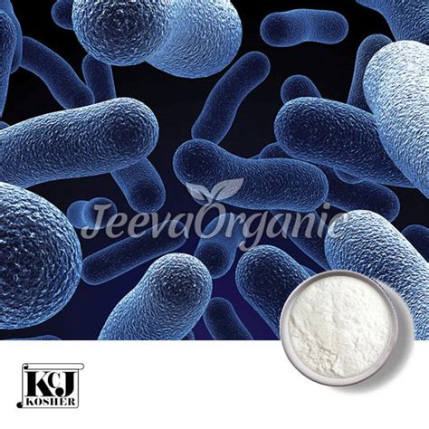 Lactobacillus Gasseri Powder Supplier | Bulk Lactobacillus Gasseri Supplier
