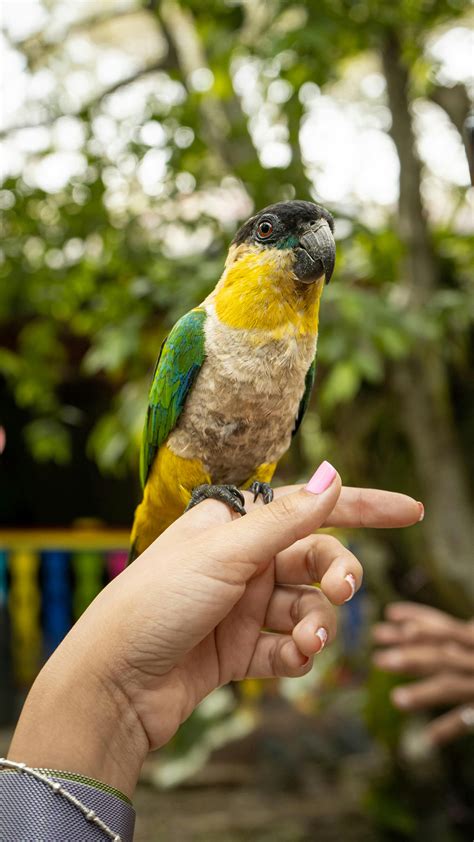 Zoo Visit Photos, Download The BEST Free Zoo Visit Stock Photos & HD Images