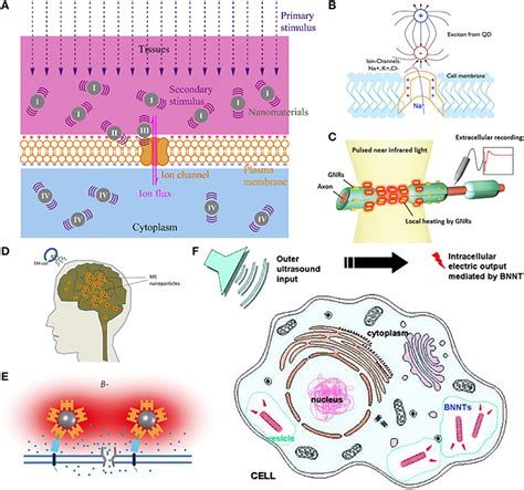 Principles Of Nanomaterial Enabled Neural Stimulation A General Download Scientific Diagram