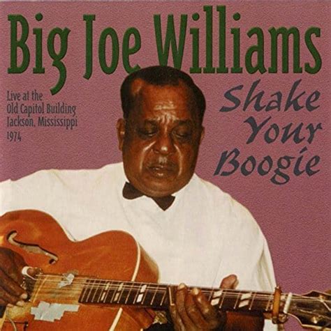 Big Joe Williams Shake Your Boogie Wolf Records International Home