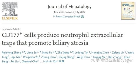 广州医科大学团队揭示cd177中性粒细胞在胆道闭锁中的作用 知乎