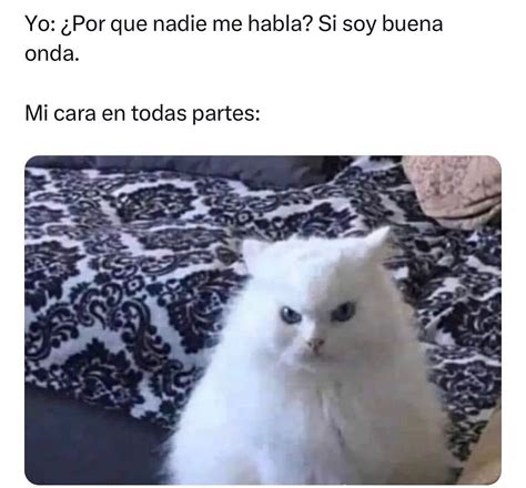 Mi Amix No Me Responde Los Mensajes Autom Ticamente Yo Cuando