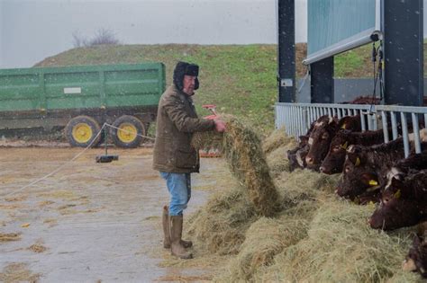 Clarksons Farm Staffel Episodenguide Fernsehserien De