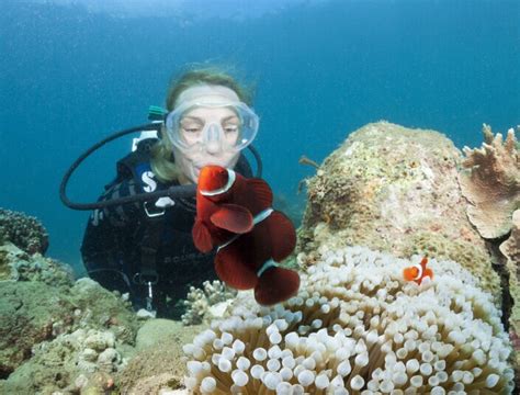 Ozeane Bieten Ressourcen Klimaschutz Und Investmentchancen Das