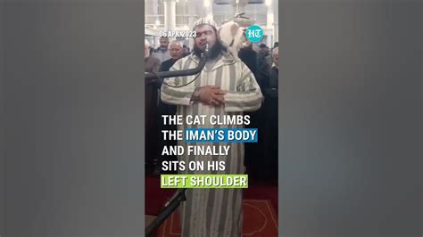 Cat Jumps On Imam As He Leads Ramadan Prayer Video Goes Viral Youtube