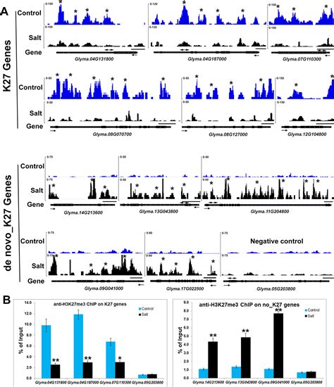 Frontiers Dynamic Changes In Genome Wide Histone Lysine