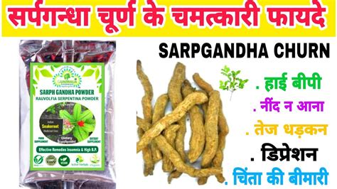 Gunmala Sarph Gandha Rauwolfia Serpentina Powder Benefits In Hindi