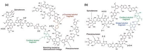 Schematic Representation Of A A Softwood Lignin Structure Consisting