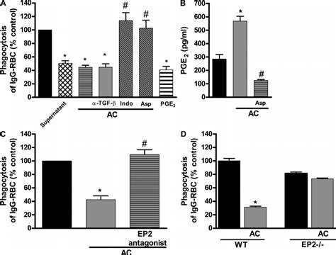 PGE 2 Mediates The Suppressive Effects Of Efferocytosis On AM