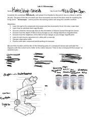 Lab Procedure And Worksheet Microscopy Biol Au Docx Lab