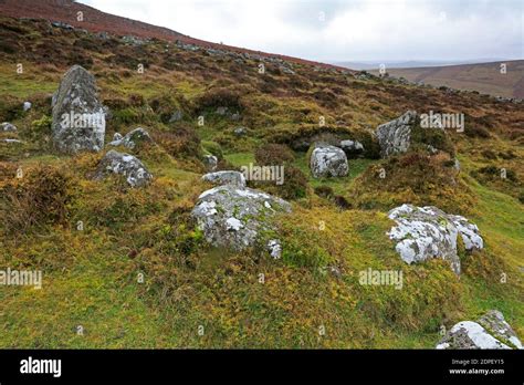 Grimspound Megalithic Village On Dartmoor Devon Uk Stock Photo Alamy