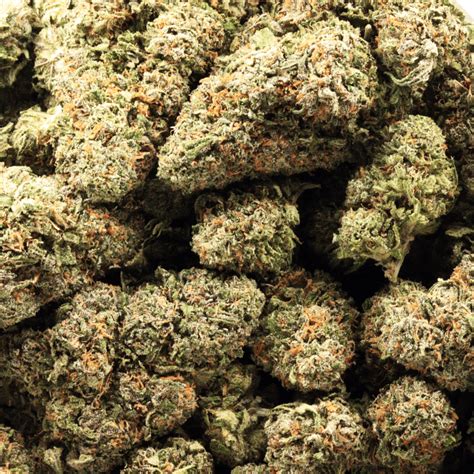 Banana Runtz Strain Buy Weed At Bulk Buddy Online Dispensary Canada