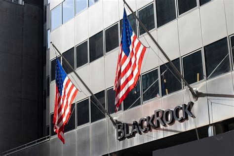 BlackRock erhält 260 Millionen Dollar in Bitcoin am 8 Tag des