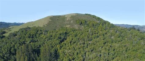 Forever Protect Bald Hill Donations - MOST–Marin Open Space Trust