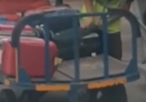 Caught On Camera Airport Baggage Handler Steals Speaker From Passenger