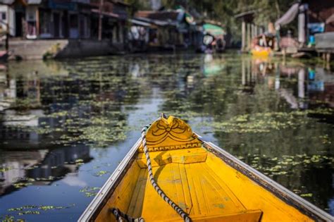 Premium Photo | Dal lake in srinagar city. shikara boats on the water ...