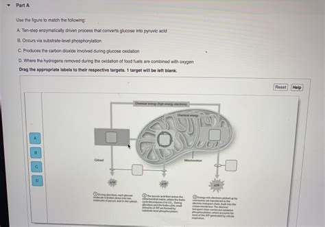 Solved Part A Use The Figure To Match The Following A Chegg