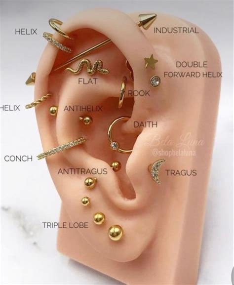 Ear Piercings Placement Chart Unique Ear Piercings Different Ear