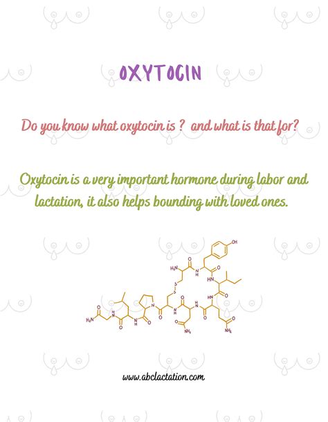 Oxytocin is a very important hormone