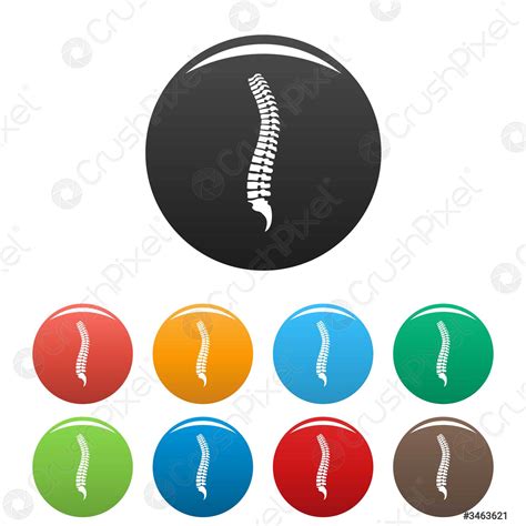 Spine icons set color - stock vector 3463621 | Crushpixel