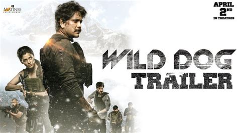 Wild Dog Trailer - Hit ya Flop Movie world