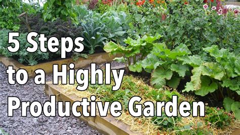 Vegetable Gardening How To Plan A Highly Productive Garden Youtube