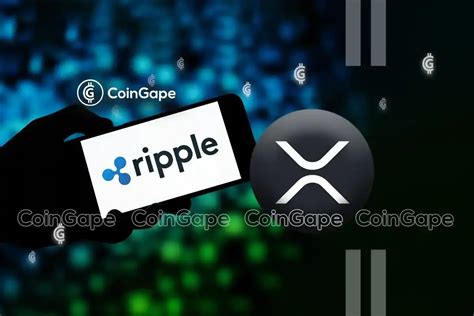 Xrp Whale Moves M Tokens As Lawyer Reveals Ripple Vs Sec Timeline