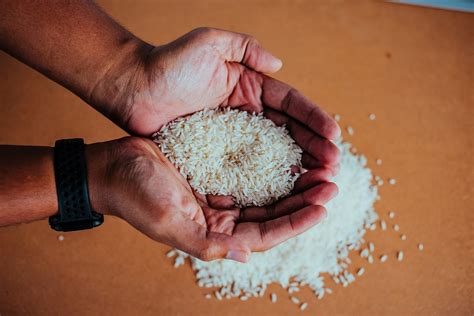 Expertos Advierten Que El Precio Del Arroz Podría Ser El Próximo En