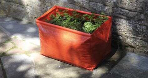 Secrets To Success In Growing Carrots In Grow Bags