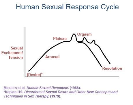 Sexual Desire Sexual Psychology