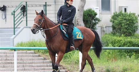 【今週の注目新馬】3億円スターウェーブ出陣！ 三浦皇成騎手「初戦から結果を問われる」 サンスポzbat