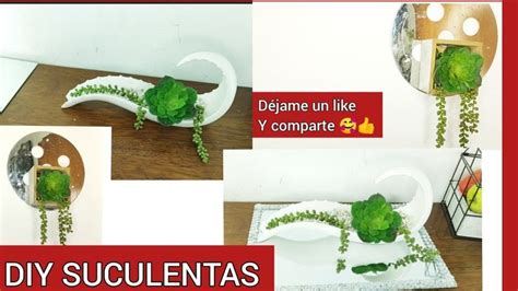 DECORACIÓN PLANTAS Cómo hacer arreglos con plantas SUCULENTAS fácil y