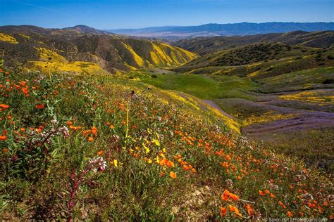 Carrizo Plain Panoramas - Photobotanic | California landscape ...