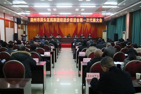 洞头区召开区民族团结进步促进会第一次代表大会