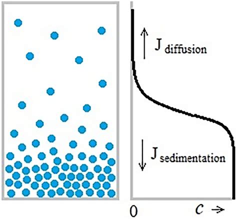 Diagram Of The Diffusionsedimentation Equilibrium Download