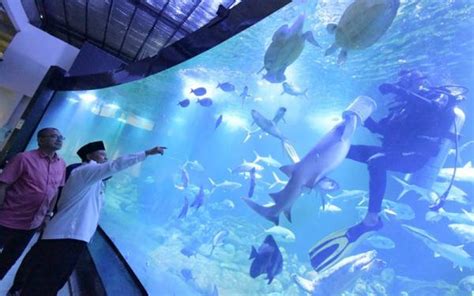 Keren Tempat Wisata Baru Di Pangandaran Ini Punya Curve Aquarium