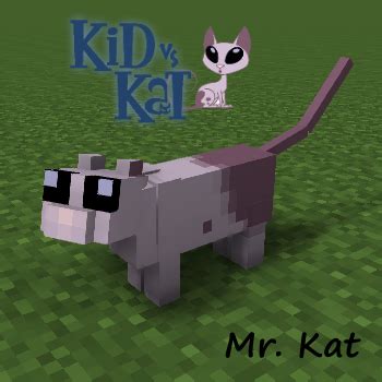 Mr Kat In Minecraft By Zeminio On DeviantArt