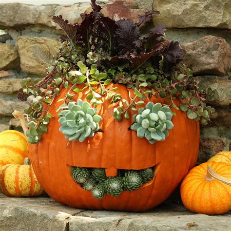 Interesting Planters Made From Pumpkins