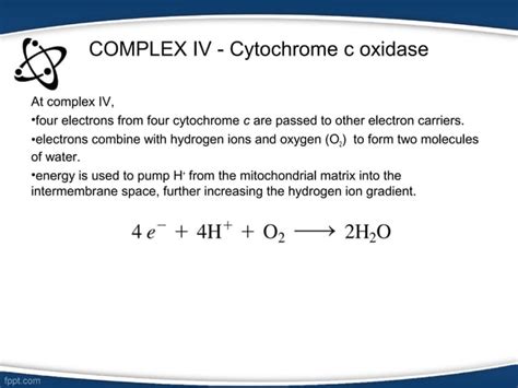 Biochemistry Electron Transport Chain Ppt