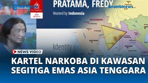 Mertua Fredy Pratama Ternyata Kartel Narkoba Di Kawasan Segitiga Emas